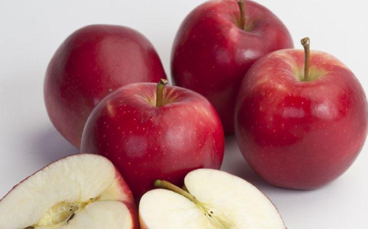 Snap Dragon Apples (NY) have huge crunch, big apple flavor, and