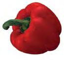 Bell Peppers Both East and West coast green bell peppers supplies are extremely light with some quality issue due growing condition.