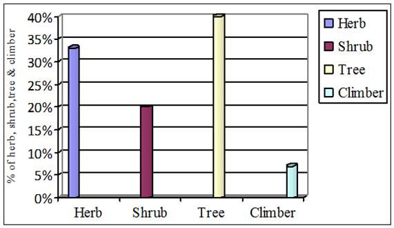 Fig 1: Percentage of herb, shrub, tree and climber used for their preparation of herbal medicine. The Rakhaing has knowledge of herbal treatments for wide range of diseases/illness.