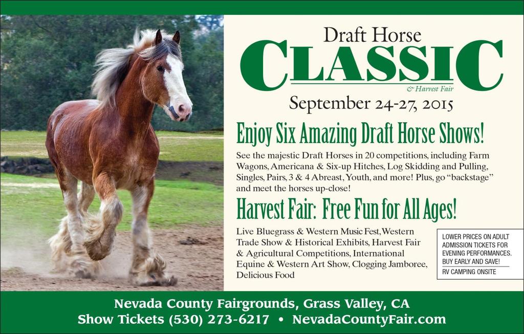 Draft Horse Classic & Harvest Fair 17 th District