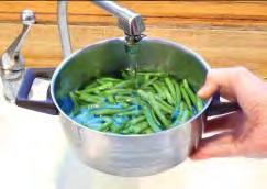 1. Put the green beans in a