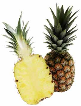 The predominant role of the supermarket sector The predominant role played by the supermarket sector in the pineapple trade, a previously exotic fruit which has now become a mass consumption fruit,