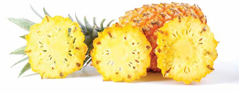 2013-14 Victoria pineapple season Size upsetting the balance Over the 2013-14 season, the Victoria supply was irregular in terms of volume, and too often unbalanced in terms of size.