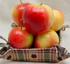 red-streaked apple with a greenish blush, juicy with good flavor; eating apples are high maintenance and need a