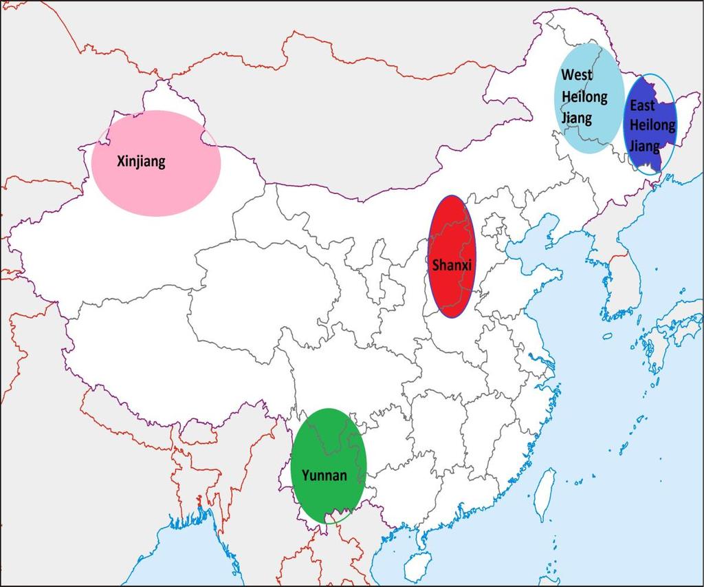 CHINA GROWING REGION GEOGRAPHY Major Bean Production Regions East Heilongjiang is emerging as a major contributor to the Dark Red Kidney bean production for China.