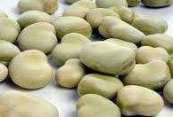 broad beans (Vicia faba)