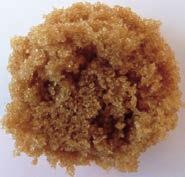 PRODUCT RANGE Product Name Colour Guide Crystal Size (MA) Texture Golden Granulated Sugar 400-1,200 IU 0.55 0.