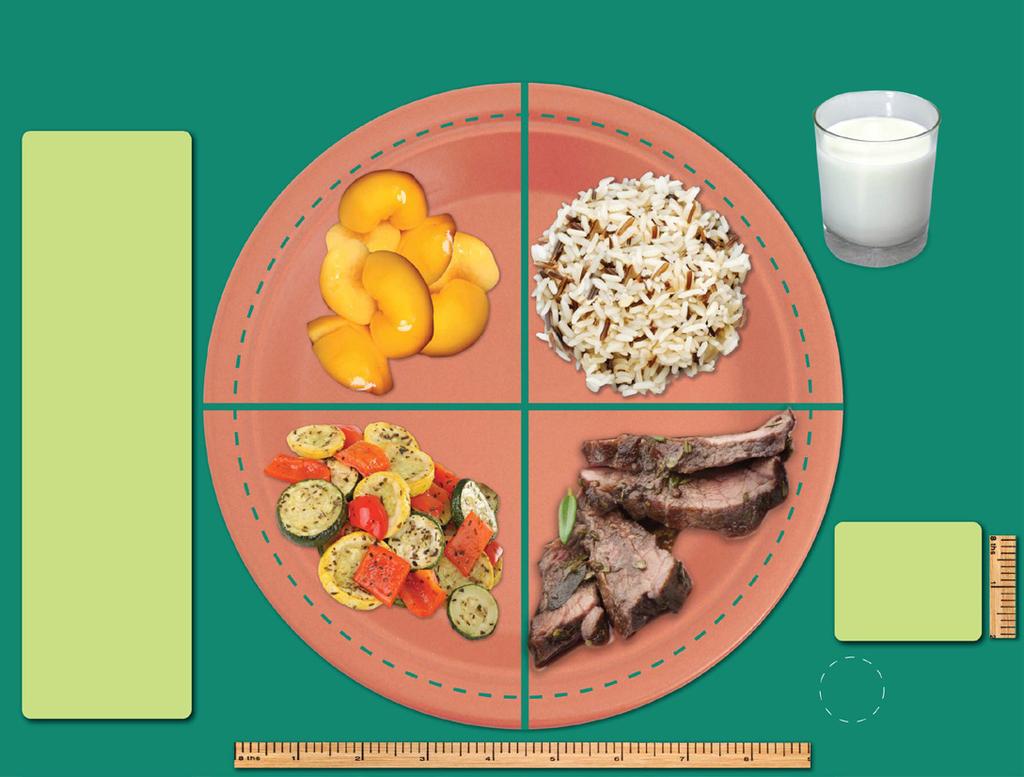 My Native Plate Portion Tool Indian Health Services has developed the My Native Plate, which is based on the USDA s My Plate.