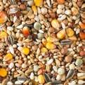green small 7 Dari 5 Safflowerseed 5 Barley 4 Sunflowerseed striped 4 Linseed 2 The Natural Granen company was founded in 1936 by brothers Noël and