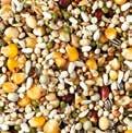 Millet yellow 0,5 Hemp seed 0,5 Lentils 0,5 Marian thistle 0,5 NATURAL Finesse Light Mixture low in protein with an optimal energy value Has a cleansing effect Contains paddy rice, rich in fibre and