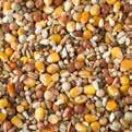 Natural Maxi mixtures are meticulously dosed with ingredients that your pigeons need year round. For more information we refer you to www.natural-granen.com.
