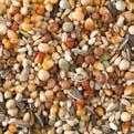 Standard Select Varied standard mixture with a good price-quality ratio This mixture can be fed year round Composition: Maize dried 26 Wheat 20 Milo 13 Peas green 10 Peas yellow 8 Composition: Maize