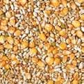 orange 5 Sunflowerseed striped 5 Paddy rice 2,5 Mung beans 2,5 Vetches 2,5 Linseed 1 Rapeseed 0,5 12 Millet yellow 0,5 Canary seed 0,5 Hemp seed 0,5 Lentils 0,5 Marian thistle 0,5 13 NATURAL Maxi