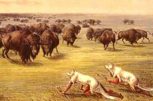 Plains Indians were nomadic hunters who followed the buffalo herds: also hunted elk, deer, etc. Buffalo provided their basic needs, food, clothing, and shelter.