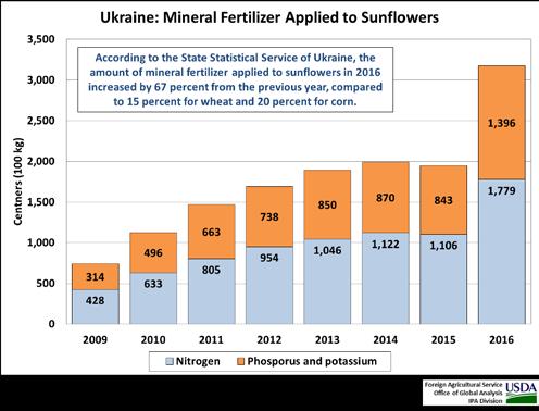 Sunflowerseed consistently is Ukraine s most profitable crop and production has benefited from a steady and significant improvement in the level of agricultural technology.