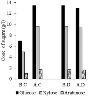 Figure 4: Effects of the hydrolysate concentrating and detoxification on the amount of sugars, where B.C. if before concentrating A.C. is after concentrating, B.D.