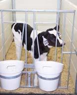 Relationships between protein and energy consumed from milk replacer and starter and calf growth and first lactation production performance of Holstein dairy cows J. Rauba 1, B.J. Heins 2, H.