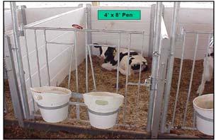 Amounts of milk replacer and starter offered and refused were recorded daily Health treatments were recorded for each calf Data for Study, continued All farms on DHIA (DRMS, Raleigh NC) First