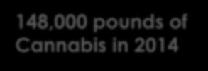 CANNABIS IN COLORADO 148,000 pounds of Cannabis