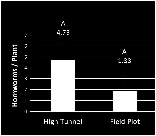 Tunnels vs. Field 1.8 1.6 A 1.
