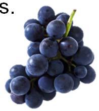Domestic Production California produces 98% of table grapes grown in the U.S.