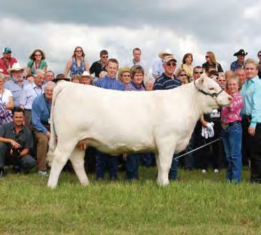 Champion Female Reserve Champion Female The visit to Lehman Charolais was extremely encouraging.