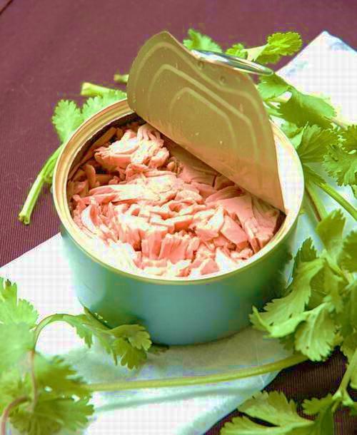 Table of Contents Tuna Market Overview