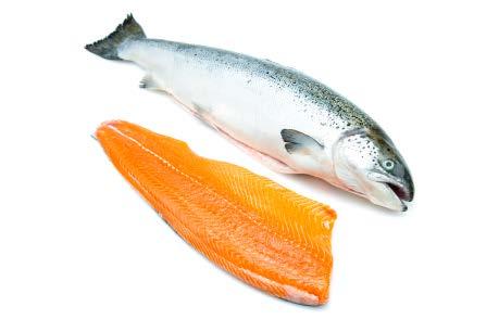 B.C. INTERNATIONAL EXPORTS SALMON & TROUT PRODUCTS In, exports of farmed salmon (Atlantic, chinook and coho) reached $534 million with shipments to 13 international markets.