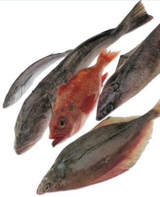 B.C. INTERNATIONAL EXPORTS GROUNDFISH PRODUCTS B.C. exported groundfish to 47 international markets in, including five new markets - Namibia, Columbia, Azerbaijan, Dominica and Macau.