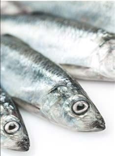 B.C. INTERNATIONAL EXPORTS OTHER SEAFOOD SPECIES & PRODUCTS International exports in the other seafood products and species category increased by eight per cent, rising from $131 million in 2016 to
