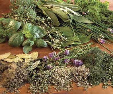 Drying Herbs Fresh herbs and spices have a stronger aroma and flavor than commercial dried herbs and spices. They are prized by food lovers and gourmet cooks.