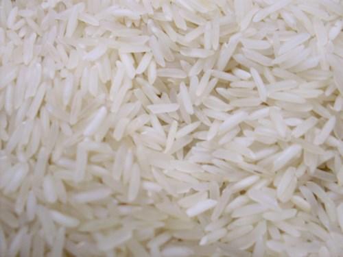 RICE Rice is one of the main staple foods in India. We can offer Basmati as well as Non Basmati Rice. Our Agriculture Rice is rich in fiber content and so it is easily digested.