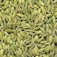 Cumin Seeds available from us in proper packaging and at reasonable prices. Fennel Seeds We offer wide variety of Fennel Seeds to our valuable clients.