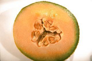 Muskmelon is highly susceptible to