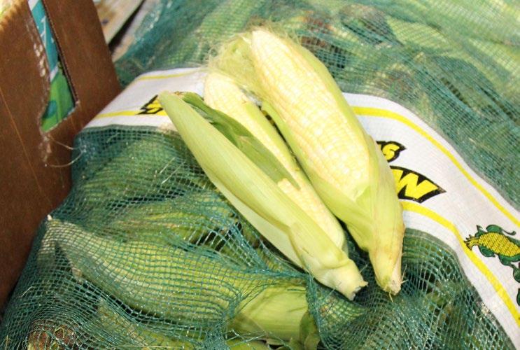 og corn Organic 60ct Bi-Color Corn out of Canada will be in good supply until mid-september. CA growers report increasing supplies of Organic Bi-Color Corn, but is still limited now.