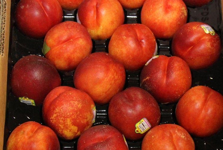 Organic Red Plums are finished for the season. Organic Flavor Fall Pluots have arrived in limited supply and should wrap up later in September.