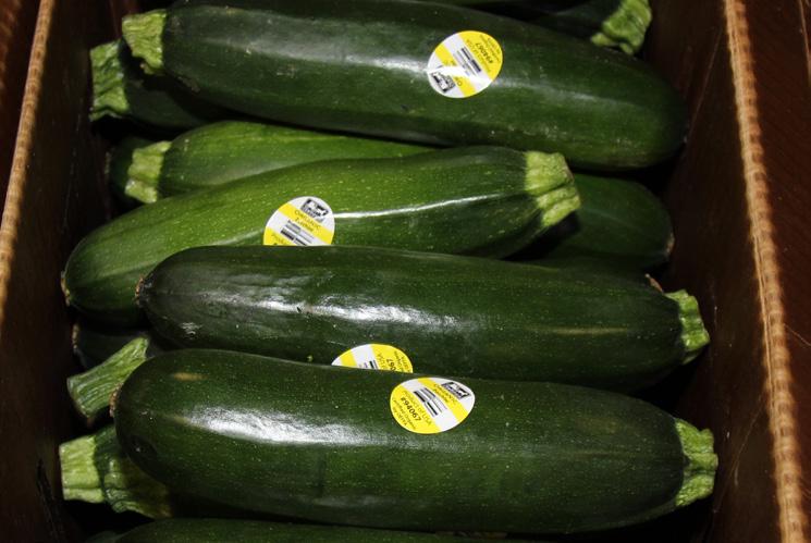Mid-Atlantic and Northeast growers have good volumes of Organic Green Squash. Mexico will also have supply.