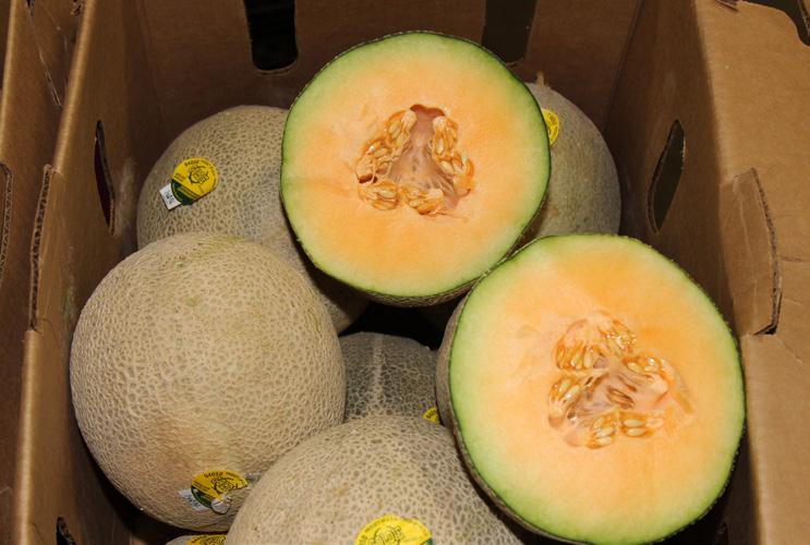 JULY 13 - JULY 20, 2018 MARKET NEWS 28 18 FOUR SEASONS PRODUCE OG MELONS OG KIWIFRUIT OG PEARS California Organic Cantaloupe, Honeydew, and Galia Melons are now available in excellent supply on all