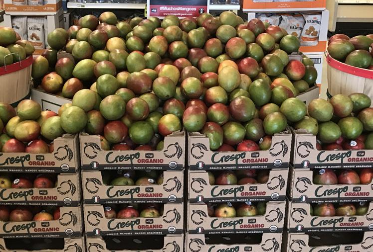 Import Organic Pears will wrap up for the season in mid-july. Supplies will gap until CA begins with new crop Organic Bartlett Pears in late July.