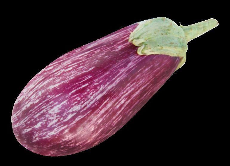 Eggplant only smaller and more slender.