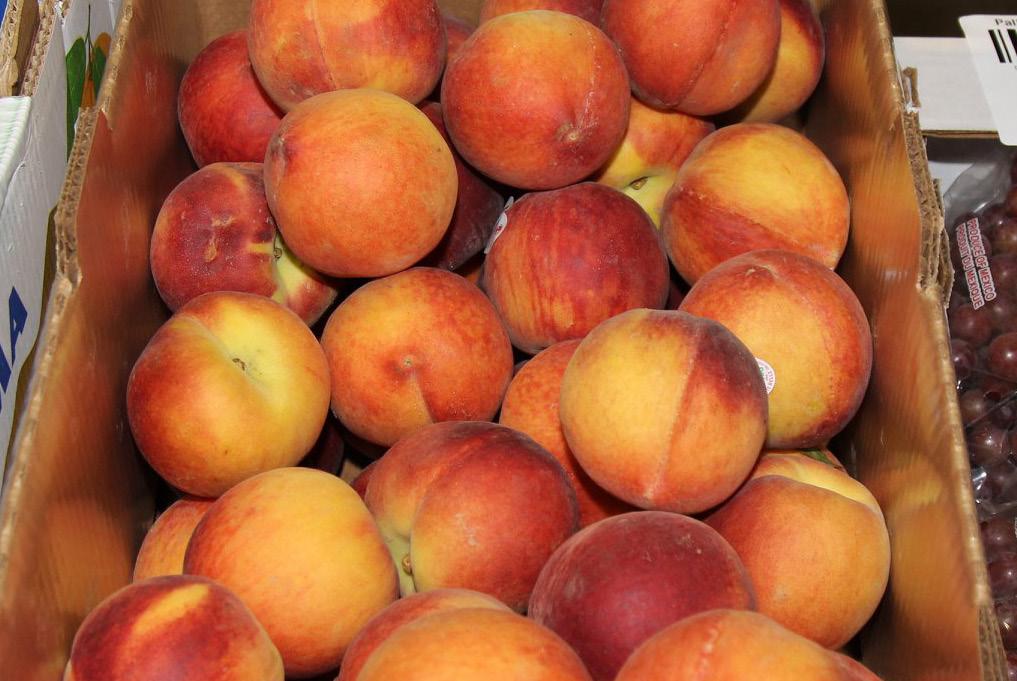 Also helping out, New Jersey Peaches have started. Growers are now getting into good harvests with a good amount of 2 ½ and 2 ¾ Peaches.