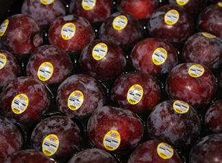 supplies of Import Pears, enough to carry us through until new crop