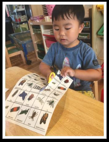 One of our themes for this month was insects so we designed an activity related this topic, involving practicing their cutting skills, in these photos we can observe how