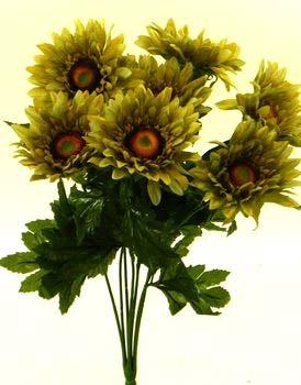 Sunflower Bushes 2013 Fall Pg