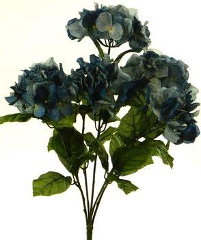 x 9 blooms blue 8.50-12 8.99-6 9.
