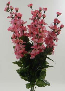441PNK " delphinium bush x 12 pink 6.