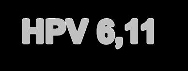 - Štiti od tipova Četvorovalentna vakcina FDA odobrenje 06/2006 - HPV 6,11 ( 75 90 % kondiloma) - HPV