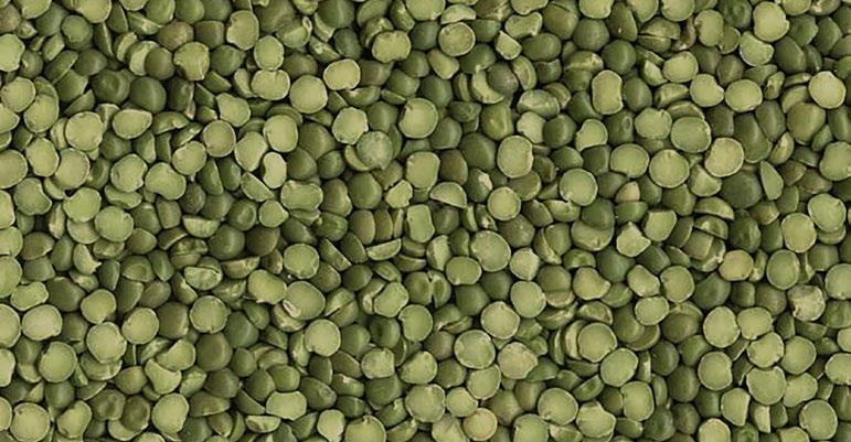 YOU RE BUYING MORE THAN A PEA SPLIT GREEN By choosing these peas, you re partnering with our Use in recipes according to the recipe instructions, or for a simple and nutritious side dish: Sort and