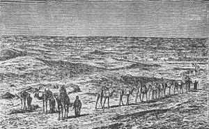 3. Trade across the desert was carried by the Berbers: