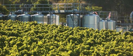 as people and as winemakers, not only are we committed to our place, we re defined by it.